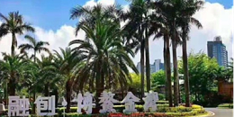 【海南】融创金成博鳌金湾WDZCN-BYJ、ZC-BV家装电线采购项目--东佳信电缆
