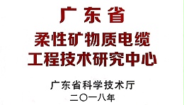 广东省柔性矿物质电缆工程技术研究中心
