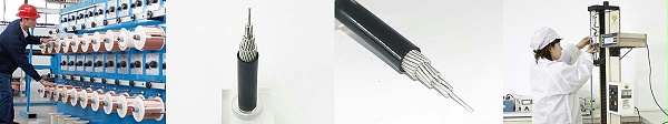 聚氯乙烯或交联聚乙烯绝缘电缆 聚氯乙烯或交联聚乙烯绝缘电缆