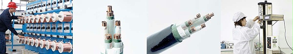 1kV防白蚁电力电缆 1kV防白蚁电力电缆
